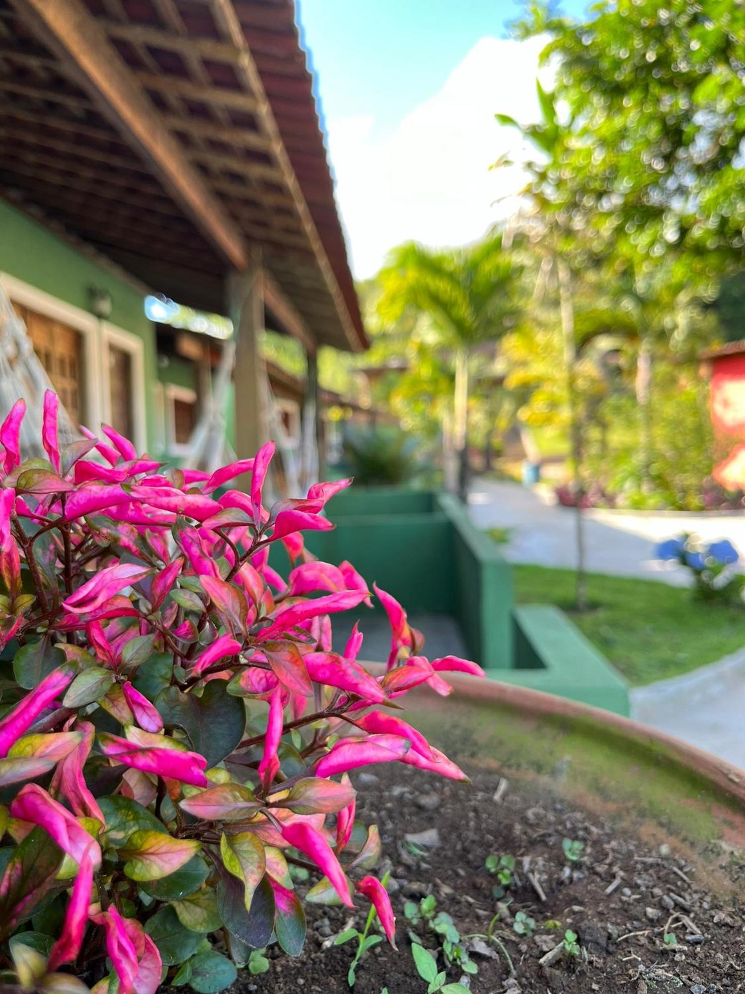 Pousada E Restaurante Alto Da Serra Bonito  Exterior foto